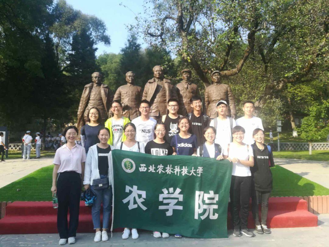 令人不快的意外